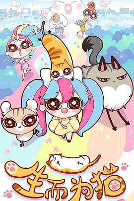 seo首页优化hd云速捷氵