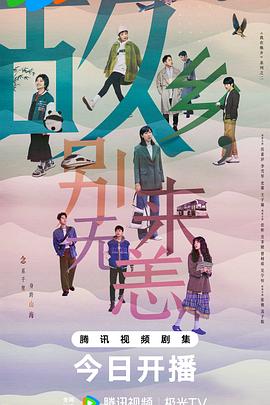 网站优化全网竞价方案